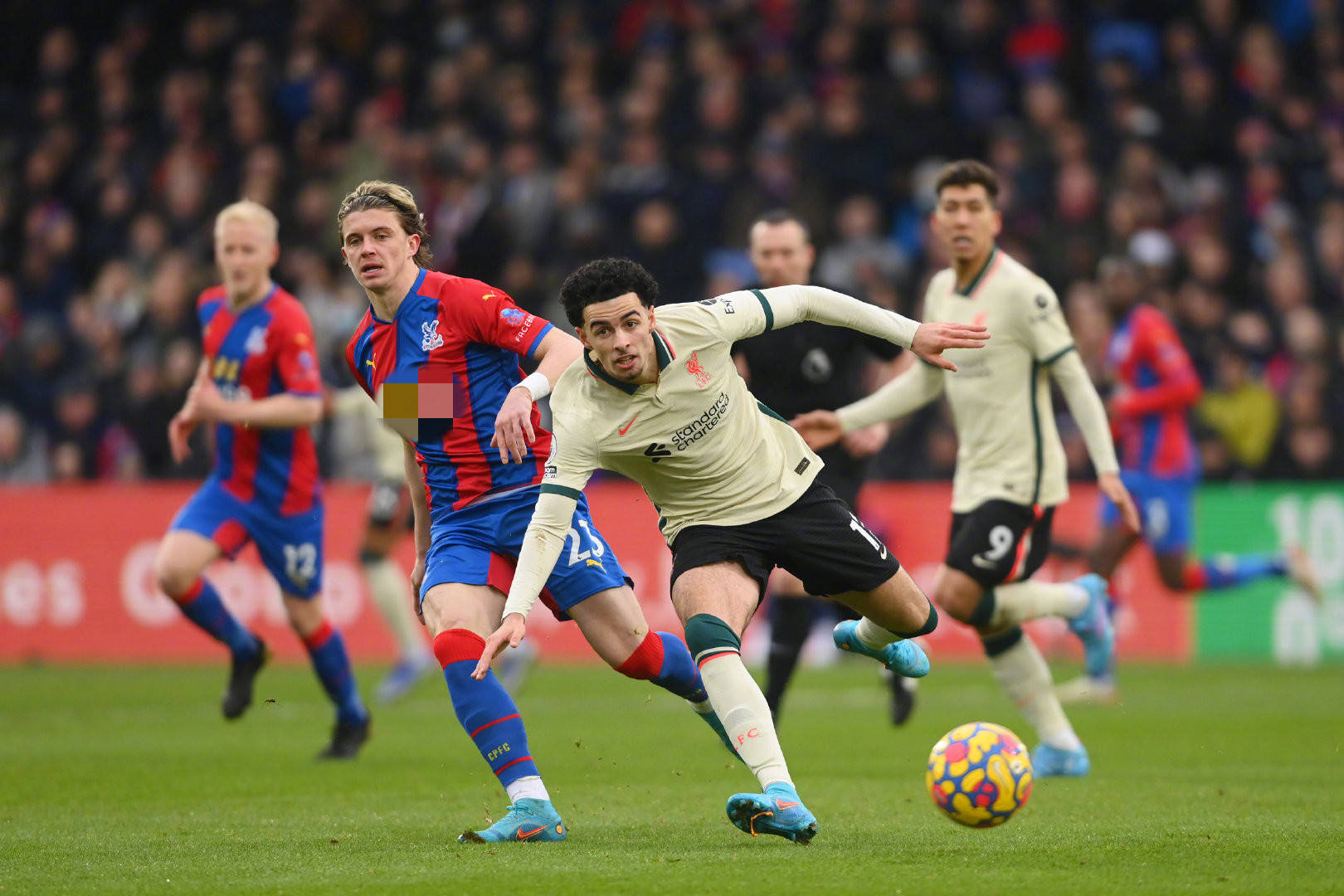 的实施需要 的实施需要